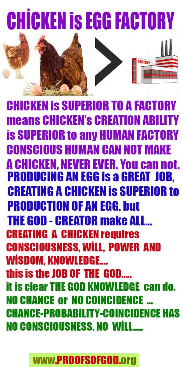 Evidences and Proofs of God, Evidences of God's existance, Proofs of God exists, Evidences of God is real,god-exists, #god, #godreal, #godexists, #godproofs, bukti-bukti tuhan, bukti-bukti tuhan, tanda-tanda tuhan, bukti-tuhan, bukti-tuhan, tuhan itu nyata, tuhan itu ada, @tuhan, #tuhan