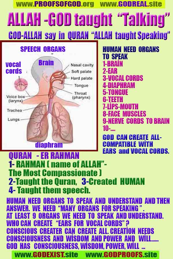 Evidences and Proofs of God, Evidences of God's existance, Proofs of God exists, Evidences of God is real,ईश्वर के प्रमाण, ईश्वर के प्रमाण, ईश्वर के लक्षण, प्रमाण-ईश्वर, प्रमाण-ईश्वर, ईश्वर वास्तविक है, ईश्वर का अस्तित्व है, @भगवान, #भगवान 