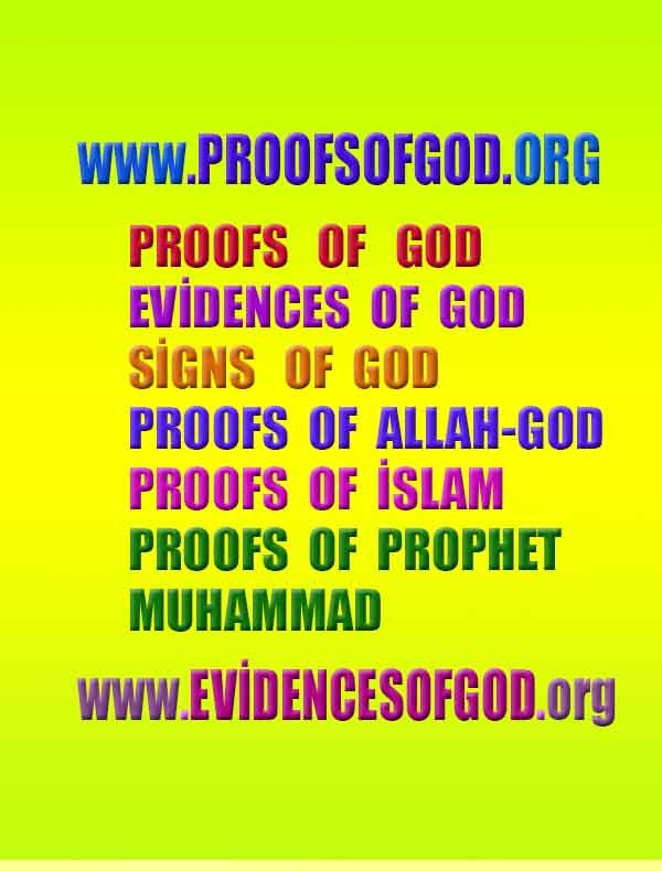 proofs of god, evidences of god, god-proofs, god-signs, god-evidences, god exists, god-real, доказательства существования Бога, доказательства существования Бога, знаки Бога, доказательства-бога, доказательства-бога, бог реален, бог существует 