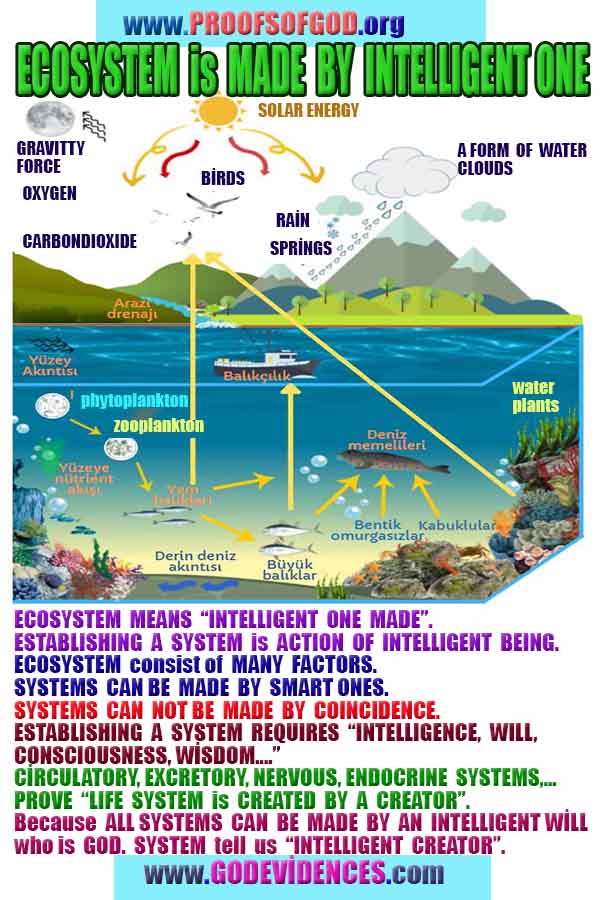 Evidences and Proofs of God, Evidences of God's existance, Proofs of God exists, Evidences of God is real,ईश्वर के प्रमाण, ईश्वर के प्रमाण, ईश्वर के लक्षण, प्रमाण-ईश्वर, प्रमाण-ईश्वर, ईश्वर वास्तविक है, ईश्वर का अस्तित्व है, @भगवान, #भगवान 