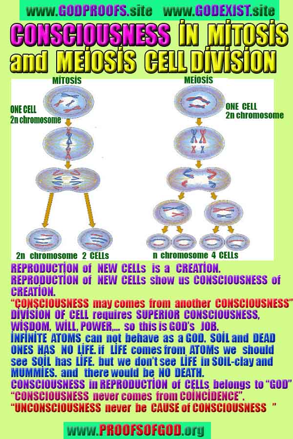 Evidences and Proofs of God, Evidences of God's existance, Proofs of God exists, Evidences of God is real, pruebas de dios, evidencias de dios, signos de dios, pruebas-dios, evidencias-dios, dios es real, dios existe 