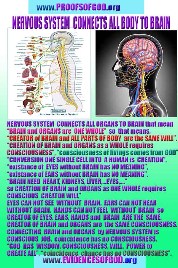 proofs of god, evidences of god, god-proofs, god-signs, god-evidences, god exists, god-real, доказательства существования Бога, доказательства существования Бога, знаки Бога, доказательства-бога, доказательства-бога, бог реален, бог существует 