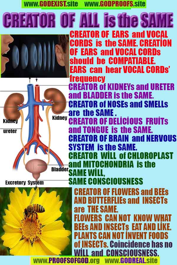 Evidences and Proofs of God, Evidences of God's existance, Proofs of God exists, Evidences of God is real,ईश्वर के प्रमाण, ईश्वर के प्रमाण, ईश्वर के लक्षण, प्रमाण-ईश्वर, प्रमाण-ईश्वर, ईश्वर वास्तविक है, ईश्वर का अस्तित्व है, @भगवान, #भगवान 