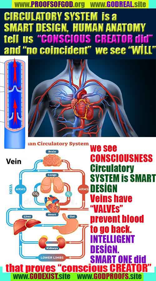 Evidences and Proofs of God, Evidences of God's existance, Proofs of God exists, Evidences of God is real, preuves de dieu, preuves de dieu, signes de dieu, preuves-dieu, preuves-dieu, dieu est réel, dieu existe 