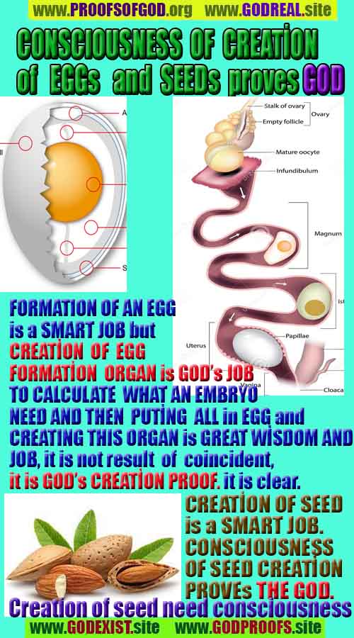 Evidences and Proofs of God, Evidences of God's existance, Proofs of God exists, Evidences of God is real,god-exists, #god, #godreal, #godexists, #godproofs, bukti-bukti tuhan, bukti-bukti tuhan, tanda-tanda tuhan, bukti-tuhan, bukti-tuhan, tuhan itu nyata, tuhan itu ada, @tuhan, #tuhan